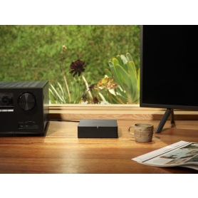 Sonos Port - The versatile streaming component for your stereo or 