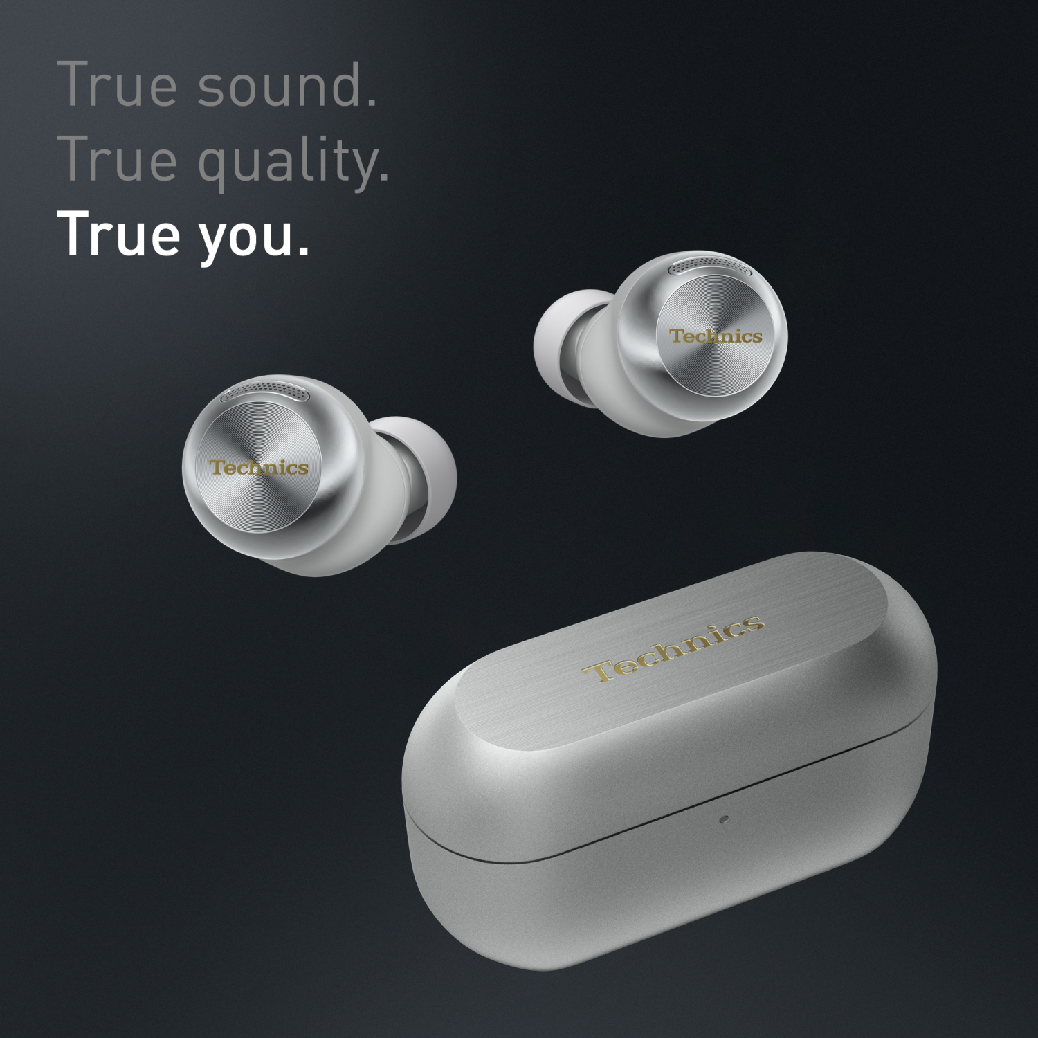 Technics - EAH-AZ100ES - True Wireless Earbuds with Magnetic Fluid Driver - Silver full image